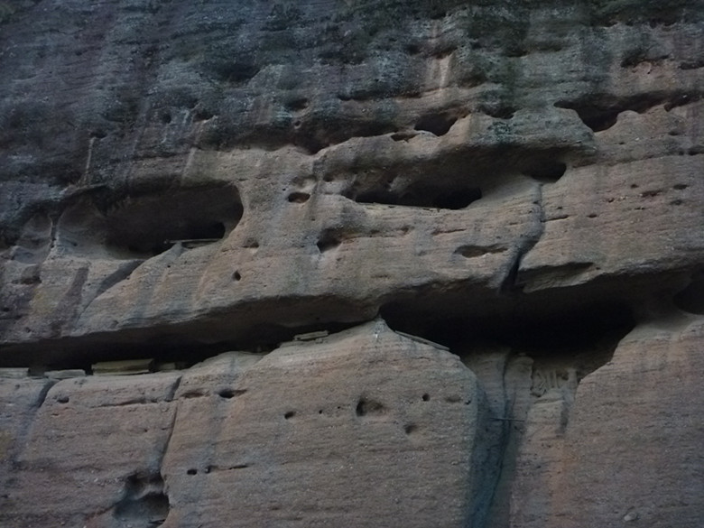 p1100410_.jpg