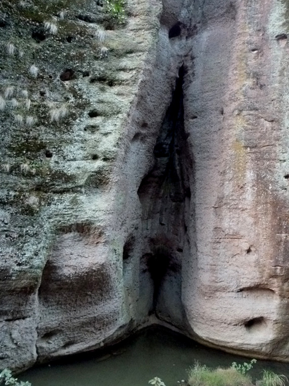 p1100419_.jpg