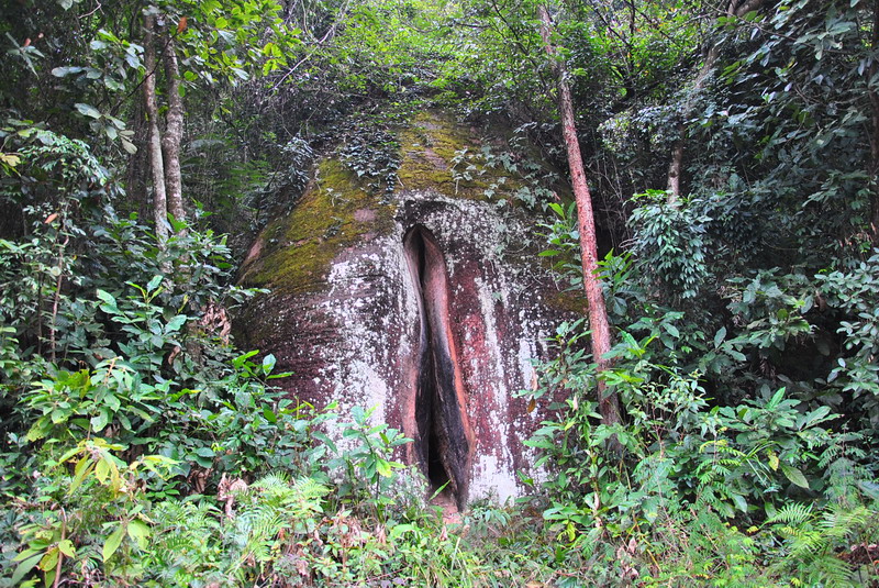 dsc_0163.jpg