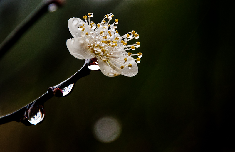 dsc_0497-2.jpg