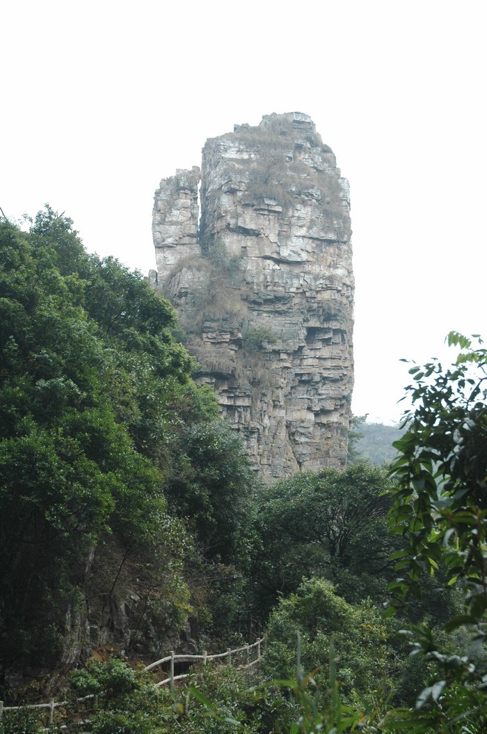 dsc_1311.jpg