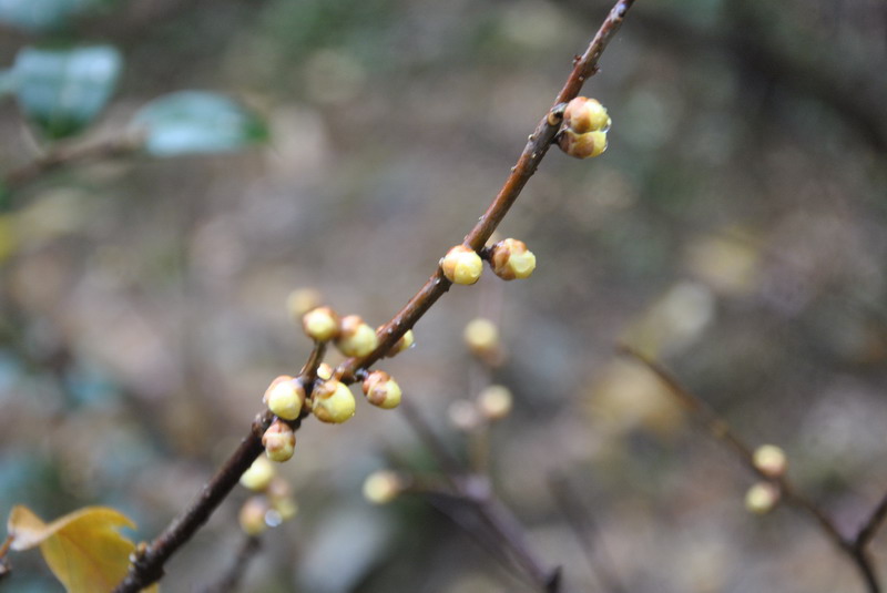dsc_0317.jpg