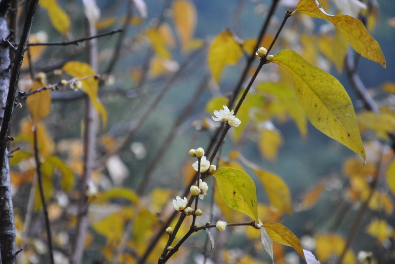 dsc_0322.jpg