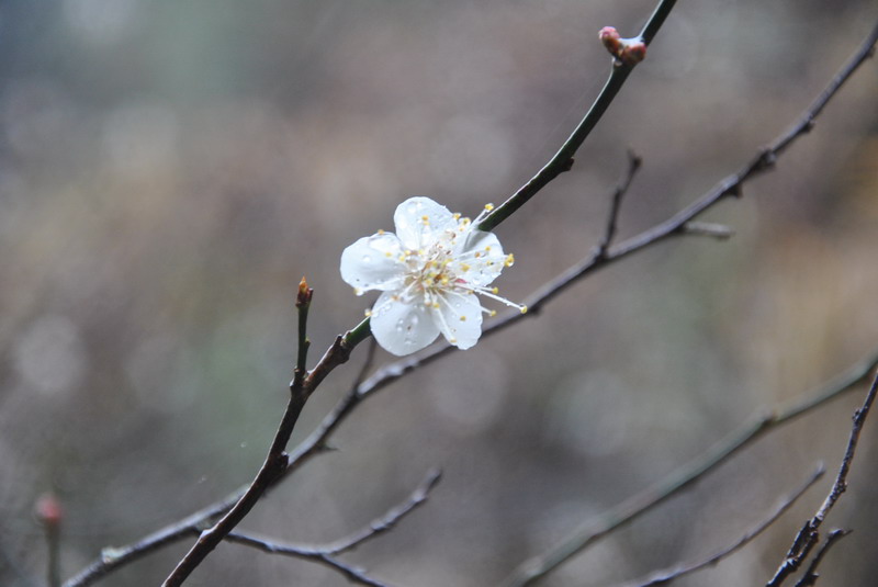 dsc_0327.jpg