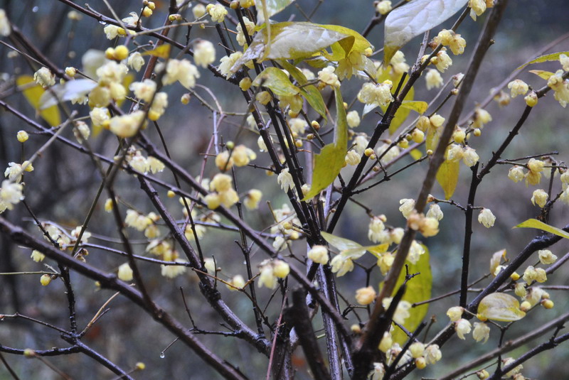 dsc_0328.jpg