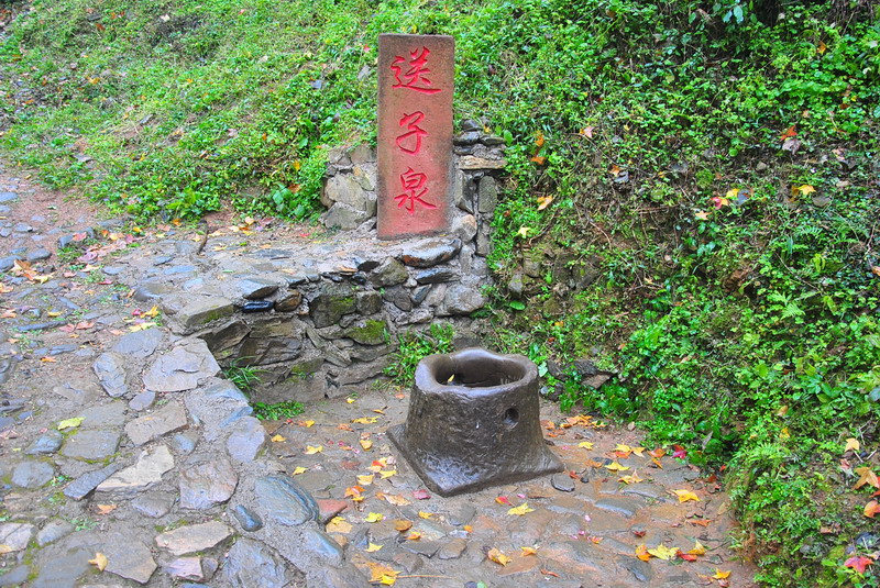 dsc_0341.jpg