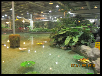 img_1881.jpg