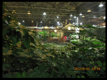 img_1882.jpg
