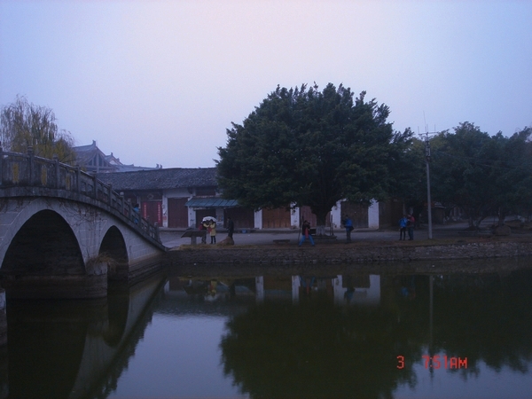 dsc02441.jpg