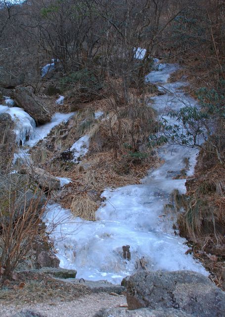 dsc_0258().jpg