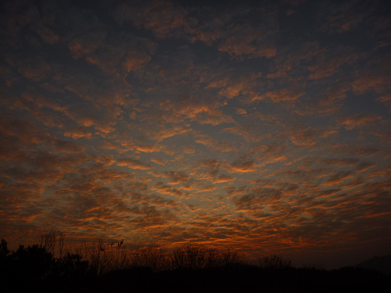 p1100476_.jpg