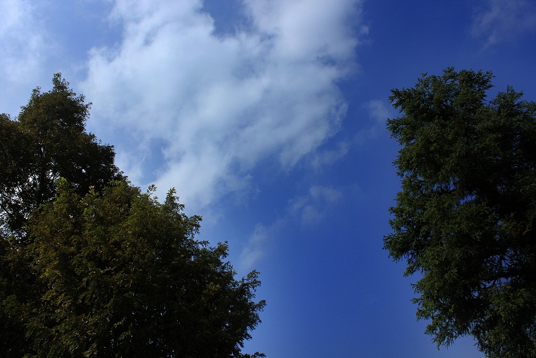 img_3675.jpg