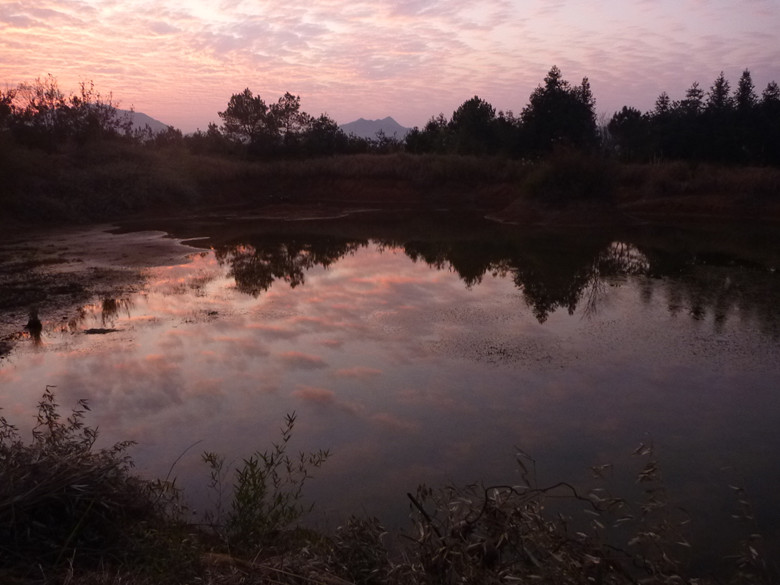 p1100480_.jpg