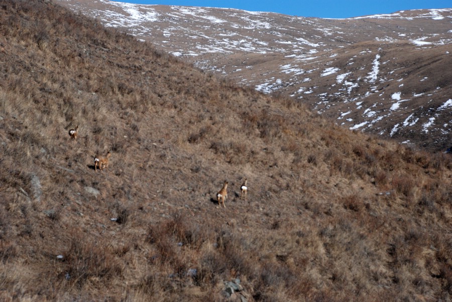 dsc_2406.jpg
