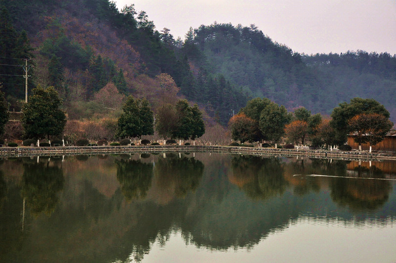 dsc_0923.jpg