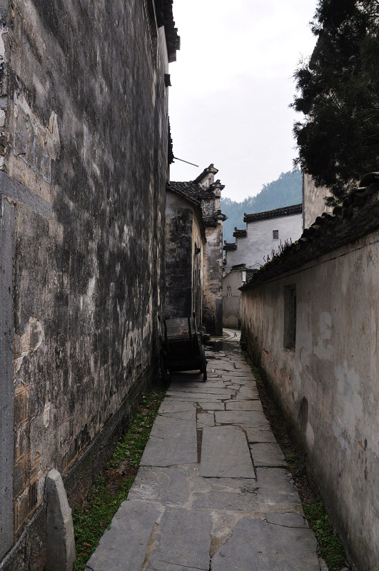dsc_0929.jpg