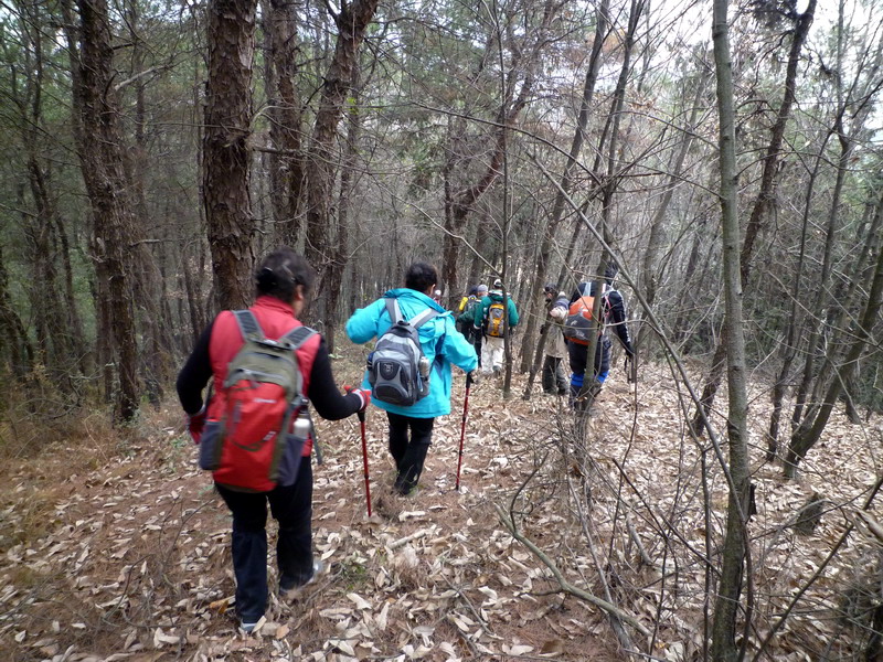 p1020790.jpg