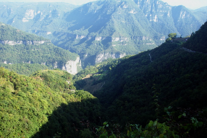 dsc_0007.jpg
