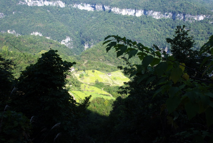 dsc_0009.jpg
