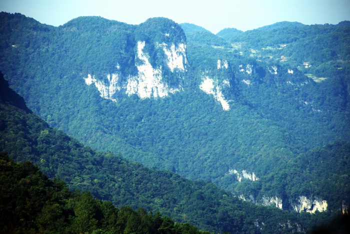 dsc_0011.jpg