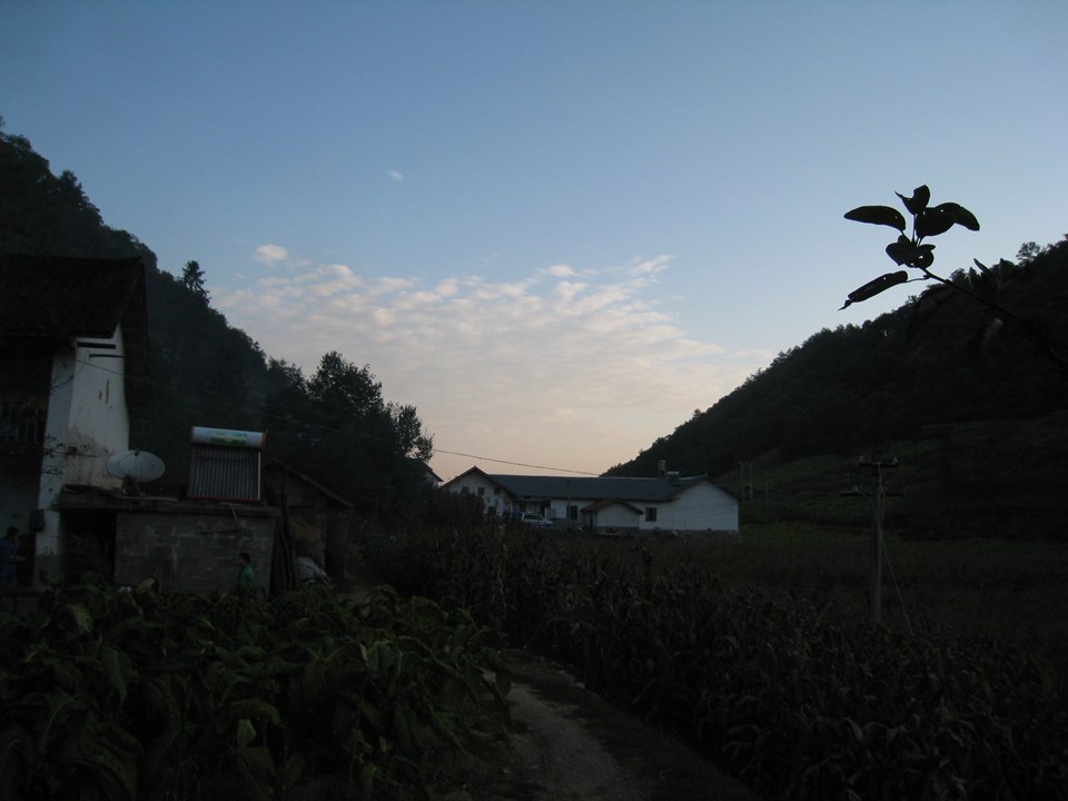 img_6428_.jpg