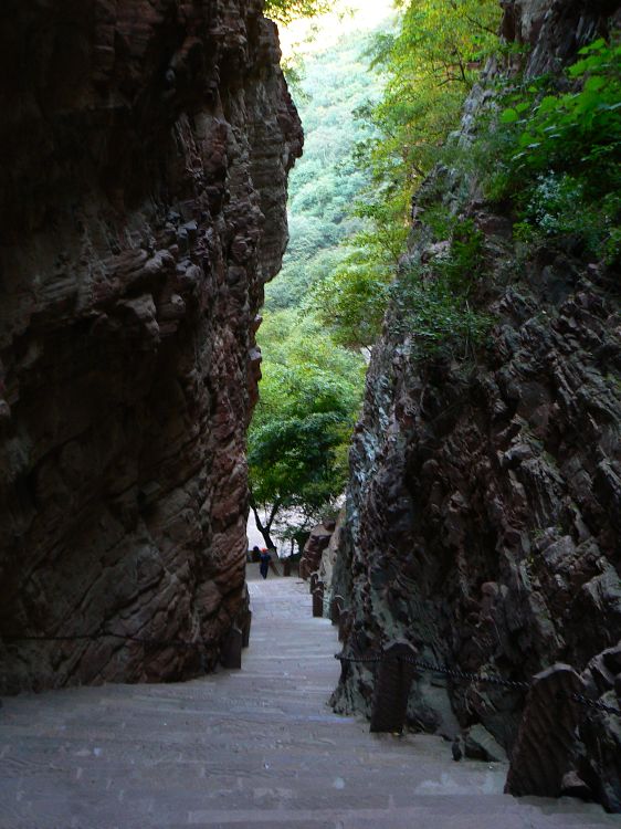 p1290632.jpg