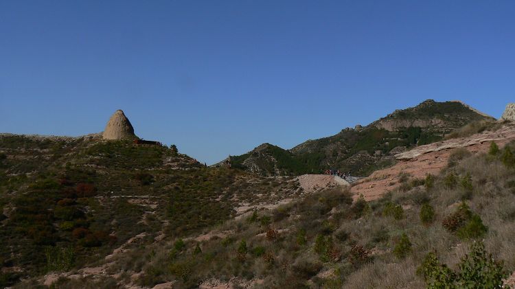 p1290754.jpg