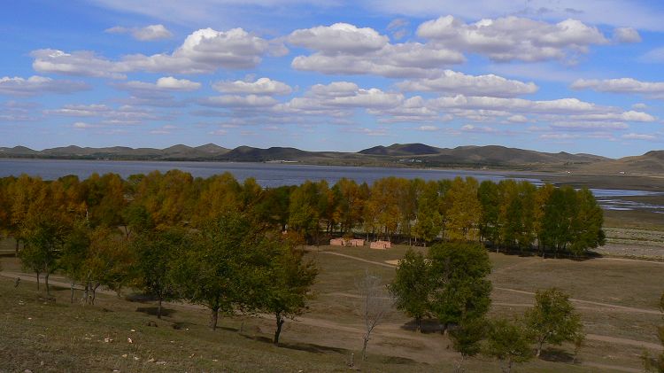 p1290974.jpg