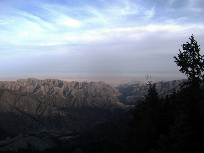 dscf0229.jpg