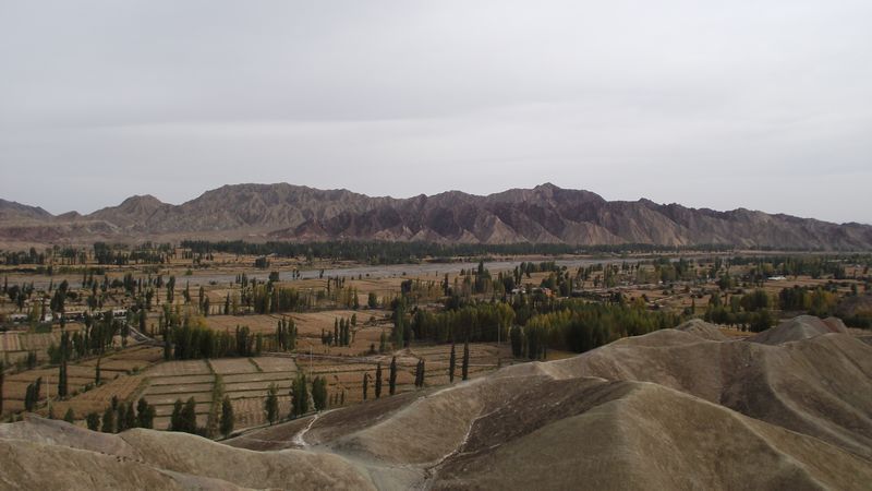 dscf2541a.jpg