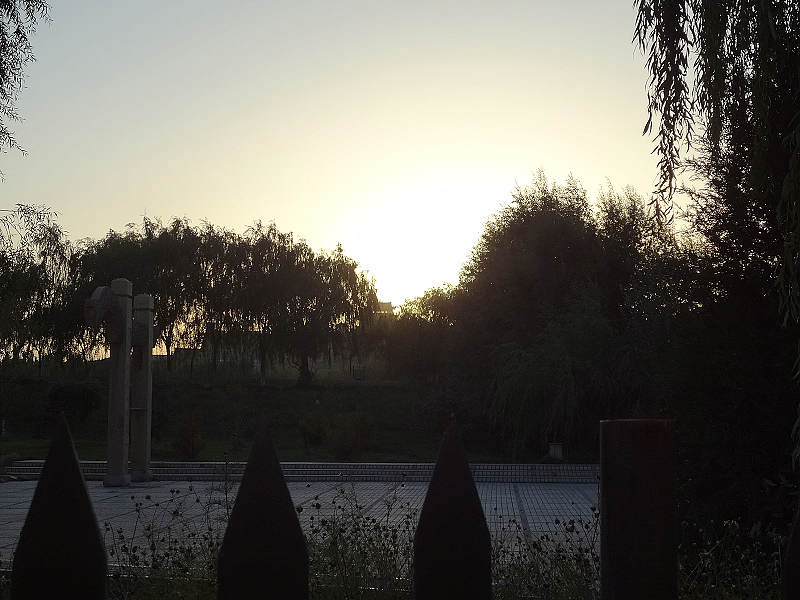 dsc01309.jpg