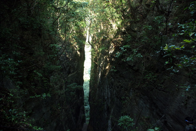dsc_0023.jpg
