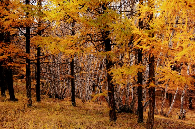 _mg_5758.jpg