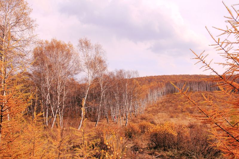_mg_5772.jpg