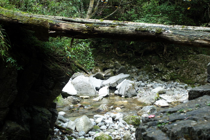 dsc_0048.jpg