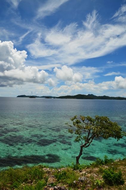 dsc_1380.jpg