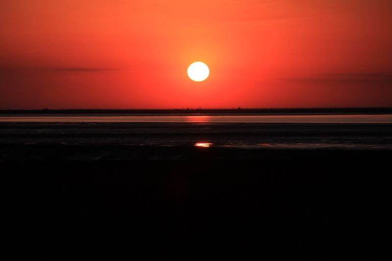 img_8390.jpg