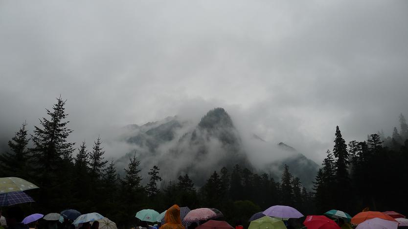 p1040673.jpg