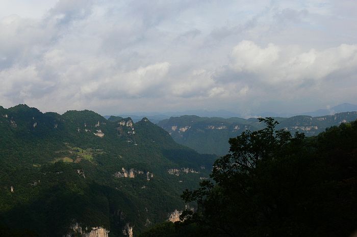 p1230721.jpg