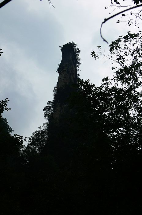 p1230742.jpg