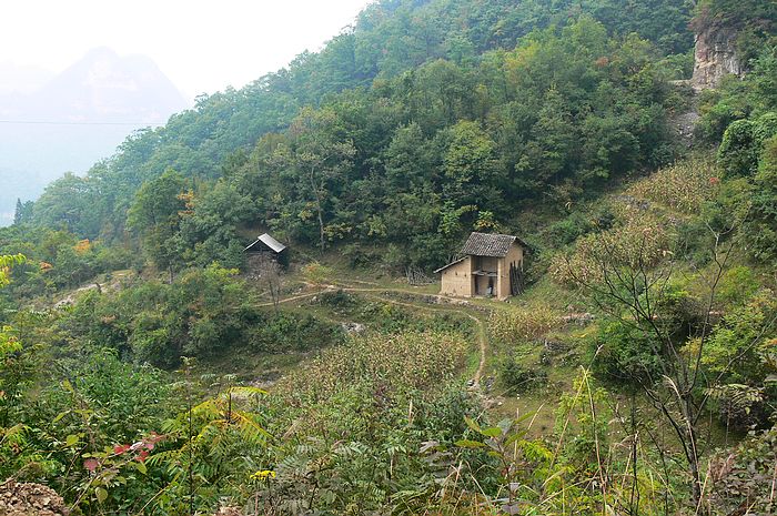 p1230819.jpg