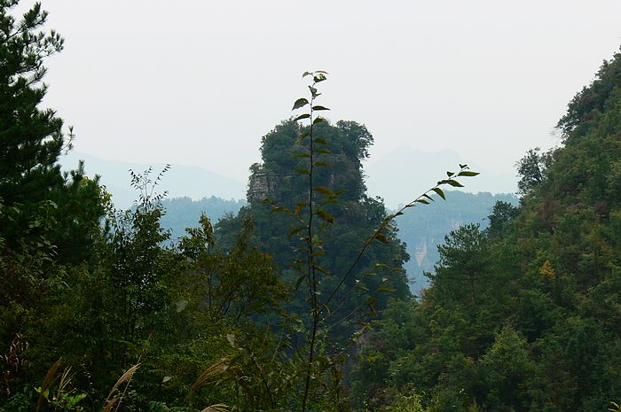 p1230874.jpg