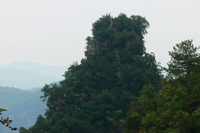 p1230875.jpg
