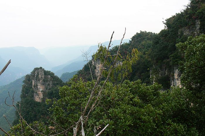 p1230895.jpg