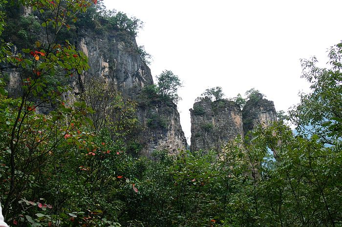 p1230931.jpg