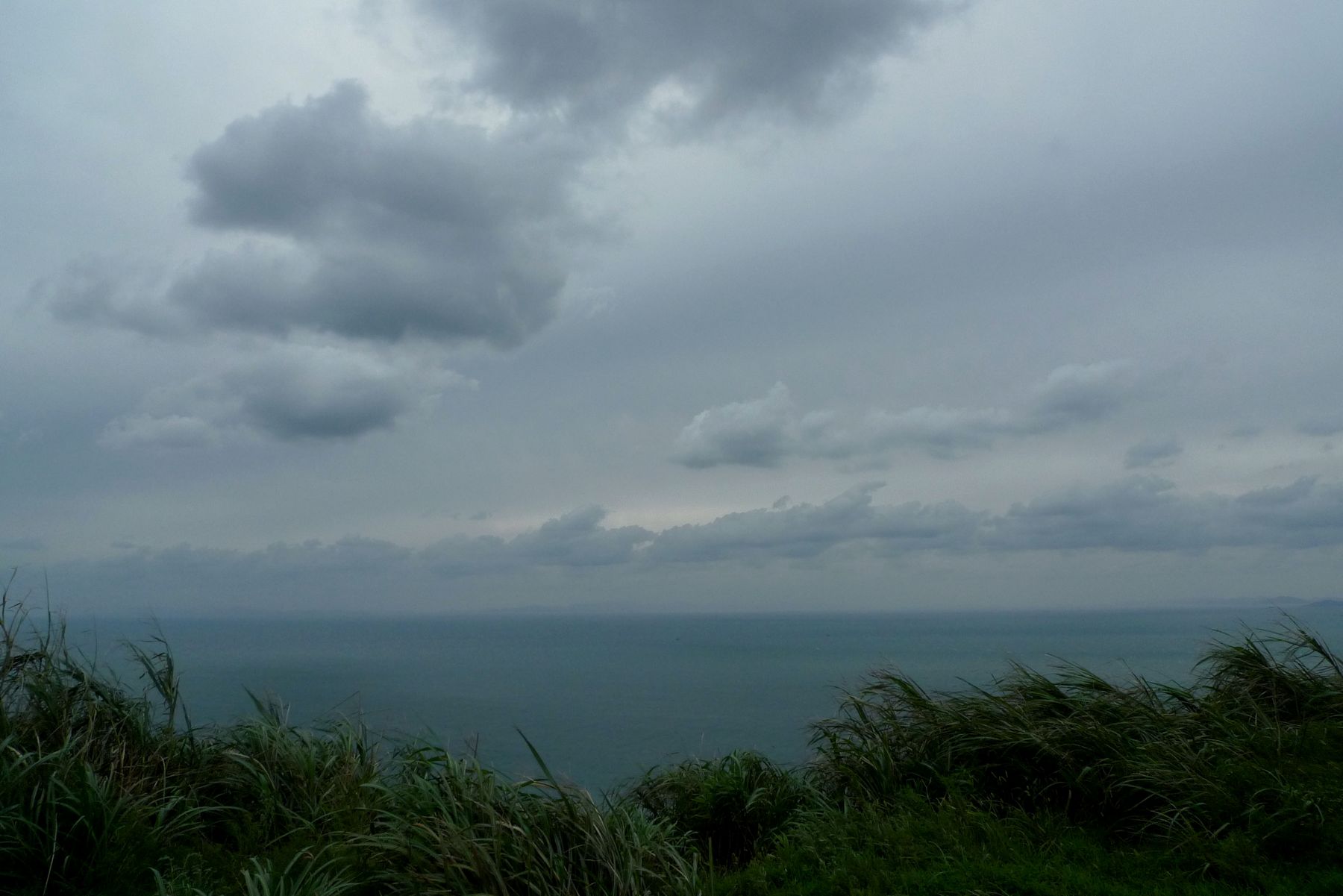 p1130630.jpg