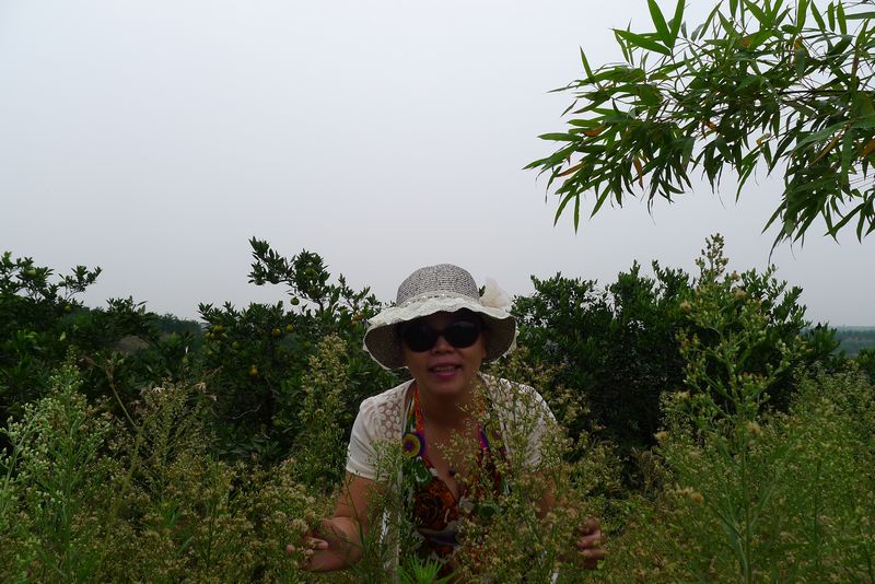 p1080055.jpg