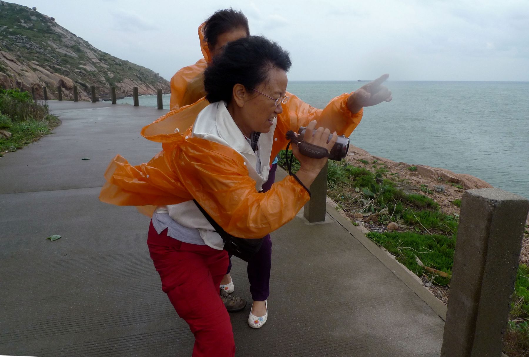 p1130461.jpg