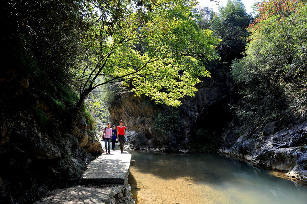 yjw_1040-1.jpg