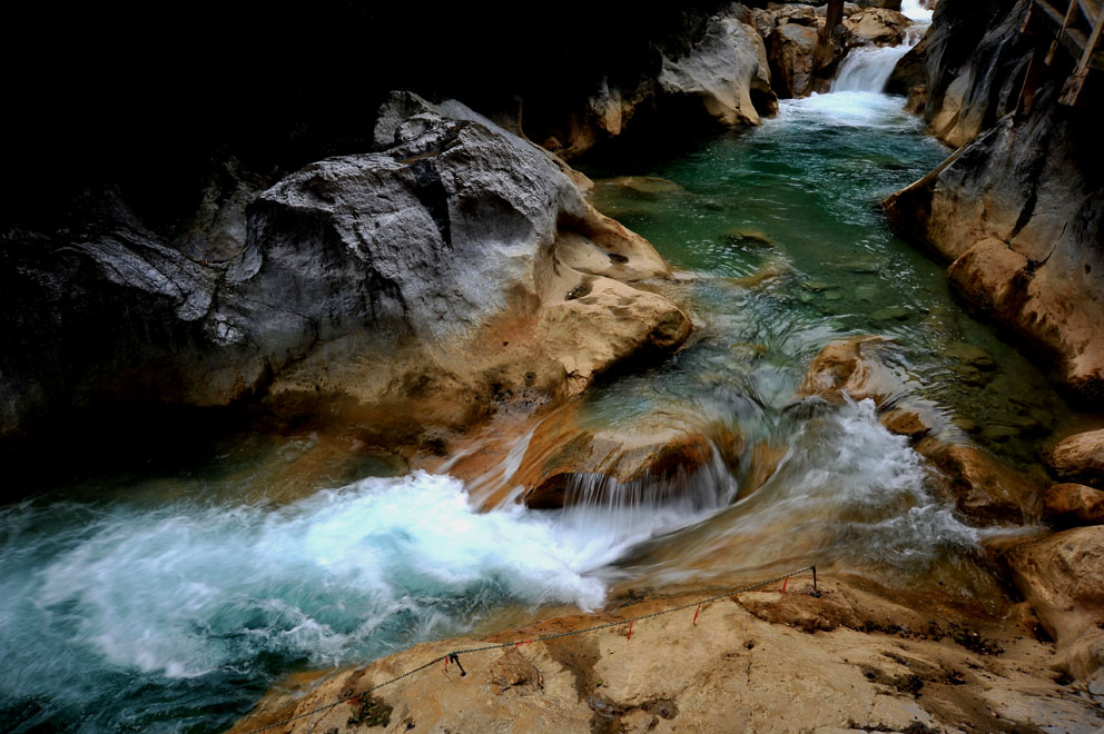 yjw_0608-1.jpg